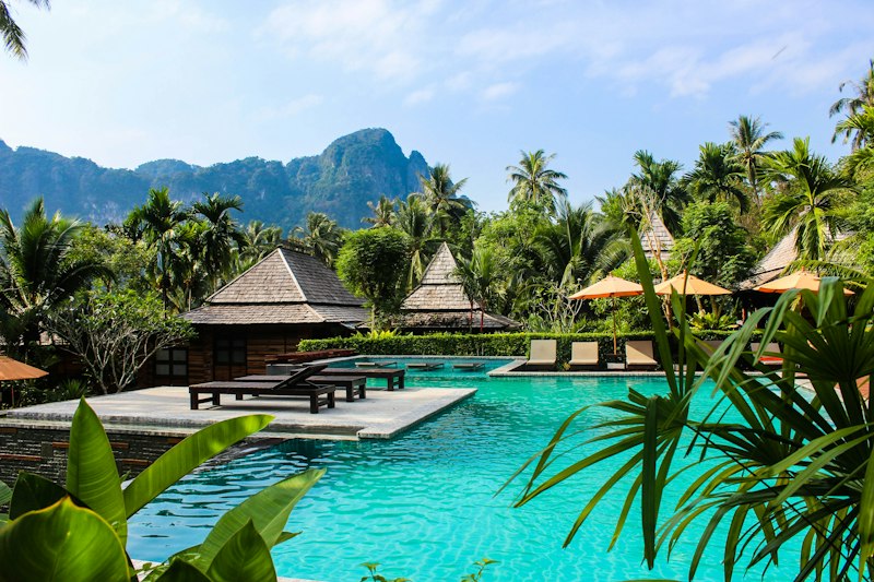 Resort pool and palms